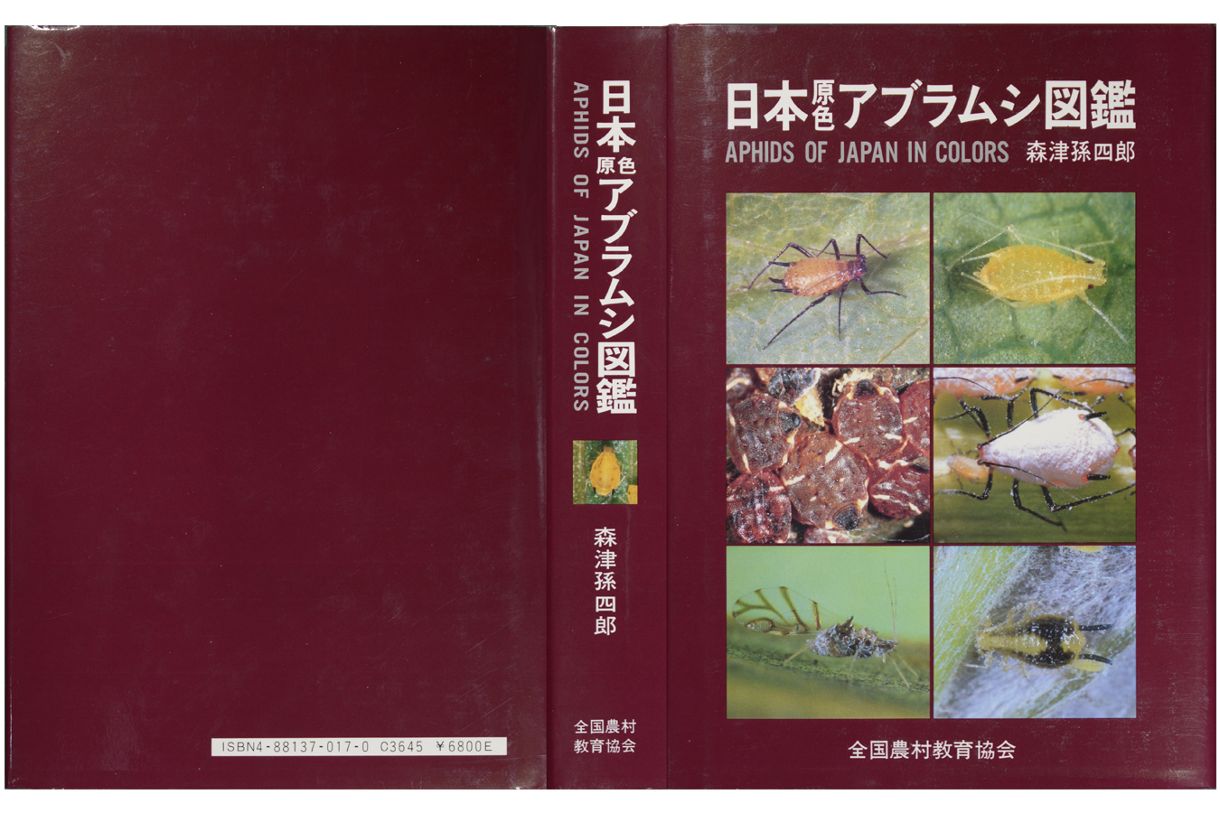 日本原色アブラムシ図鑑拡大図